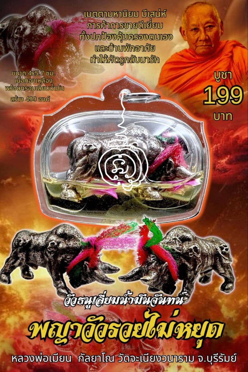 NKNR2505019